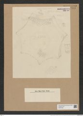Triceratium schmidtii var. pustulatum (de-Toni-Nr.: Genus 139, Species 3705*) Zeichnungen Sammlung Grunow Nr. 7187 (NHMW-BOT-W0376168)